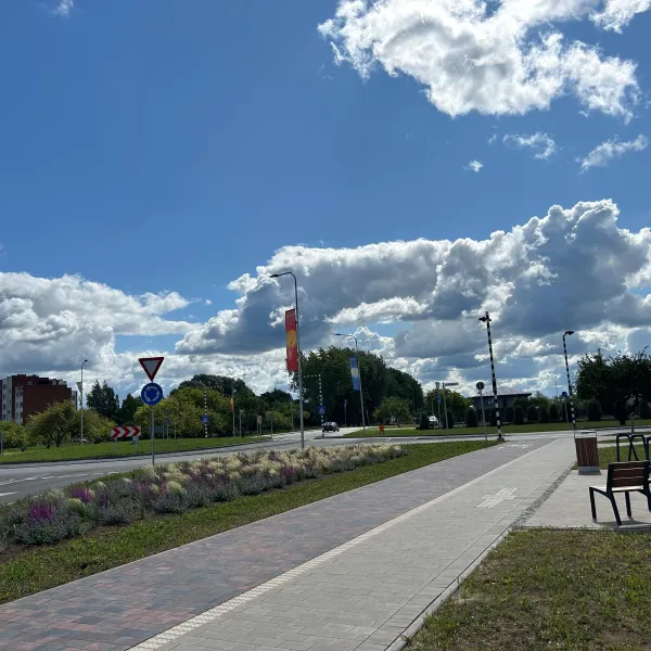 Pavement restoration on Rīgas Street in Salaspils and the construction of a roundabout at the intersection of Rīgas Street and Zvaigžņu Street, as well as the construction of the Zvaigžņu Street section from Rīgas Street to the roundabout at Lauku Street
